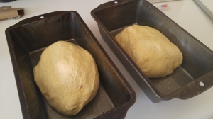 Be sure to coat the dough by turning it through the olive oil when you put it in the pan. 
